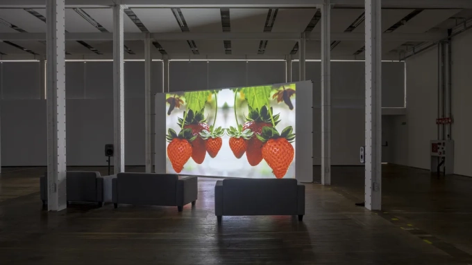 Julia Montilla's projection, Strawberry Fields, lasts about 65 minutes // CENTRE D'ART CONTEMPORANI