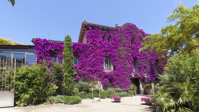 El restaurant Can Travi Nou està ubicat en una masia del segle XVII, en l’antic camí de Sant Cebrià, avui carrer de Jorge Manrique. Foto: Ajuntament de Barcelona