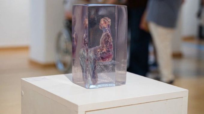 La mostra es pot veure fins al 30 de juliol a la Sala Lluïsa Franch de les Cotxeres-Casinet. Foto: Instagram (@cccotxerescasinet) La mostra es pot veure fins al 30 de juliol a la Sala Lluïsa Franch de les Cotxeres-Casinet. Foto: Instagram (@cccotxerescasinet)